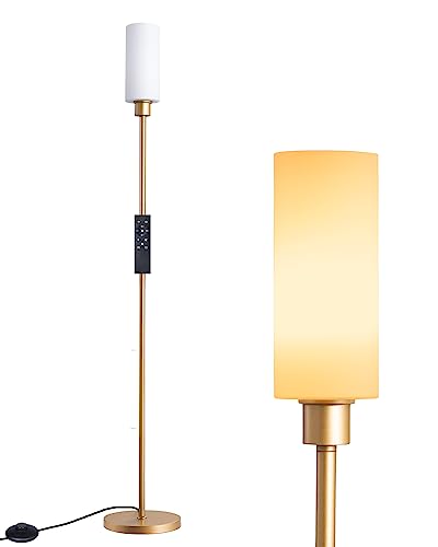 EDISHINE LED Corner Floor Lamp with Glass Lampshade, Modern Dimmable Lamp with Remote, 5 CCT, 65" Tall Standing Light for Living Room, Bedroom, Office, Bulb Included (Gold)