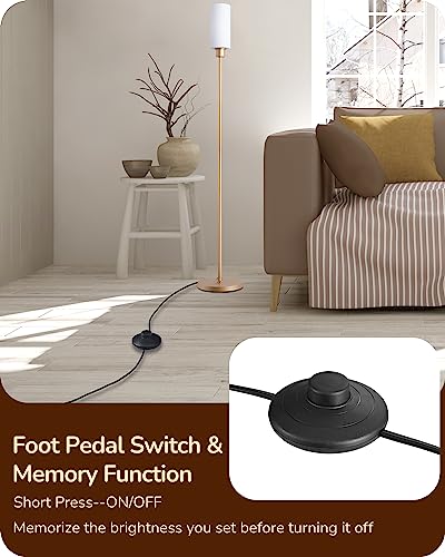 EDISHINE LED Corner Floor Lamp with Glass Lampshade, Modern Dimmable Lamp with Remote, 5 CCT, 65" Tall Standing Light for Living Room, Bedroom, Office, Bulb Included (Gold)