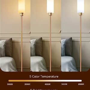 EDISHINE LED Corner Floor Lamp with Glass Lampshade, Modern Dimmable Lamp with Remote, 5 CCT, 65" Tall Standing Light for Living Room, Bedroom, Office, Bulb Included (Gold)