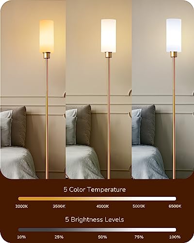 EDISHINE LED Corner Floor Lamp with Glass Lampshade, Modern Dimmable Lamp with Remote, 5 CCT, 65" Tall Standing Light for Living Room, Bedroom, Office, Bulb Included (Gold)