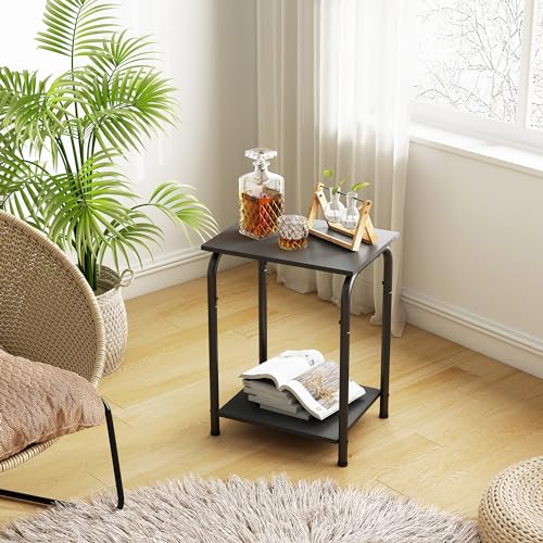 Tajsoon Small End Table with 2 Tier Storage Shelves, Small Side Table for Small Spaces, Sofa Table, Bedside Table, Small Table for Living Room, Bedroom, Sturdy Frame & Easy Assembly