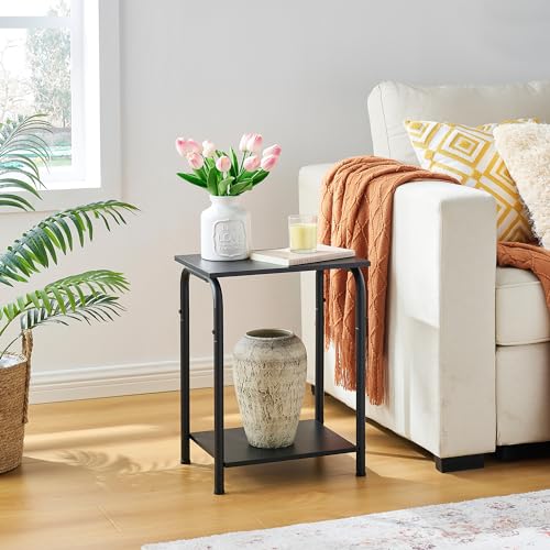 Tajsoon Small End Table with 2 Tier Storage Shelves, Small Side Table for Small Spaces, Sofa Table, Bedside Table, Small Table for Living Room, Bedroom, Sturdy Frame & Easy Assembly