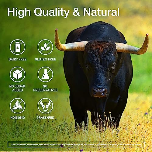 KTD BIOLABS Grass Fed Beef Organs Supplement - Made in USA - Grass Fed Organ Complex with Desiccated Beef Liver, Heart, Kidney, Pancreas, Spleen for Energy, Immune & Digestive Health - 150 Capsules