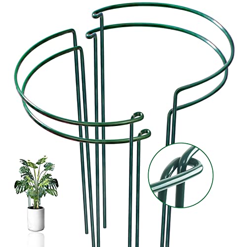 4 Pack Plant Support Stake Kit - Strong, Rust-Proof, and Durable Plant Cage, Hydrangea Support Cage, Peony Support, Peony Cage, Plant Support Cage, and Plant Stake for Indoor and Outdoor Plants