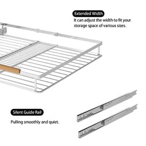 WEJIPP Pull Out Cabinet Drawer Organizer Expendable Slide Out Pantry Organizer Shelves Heavy Duty Stainless Steel Storage Shelf for Kitchen Bathroom Cabinet Pantry Closet Under Sink Organization