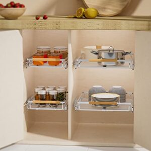 WEJIPP Pull Out Cabinet Drawer Organizer Expendable Slide Out Pantry Organizer Shelves Heavy Duty Stainless Steel Storage Shelf for Kitchen Bathroom Cabinet Pantry Closet Under Sink Organization