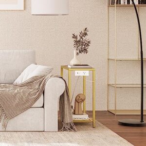 HOOBRO End Table, Side Table with Charging Station, 2-Tier Nightstand with Storage Shelves, Small Space Bedside Table, Telephone Table, Modern Coffee Table, Tempered Glass, Living Room, Gold GD56UBZ01
