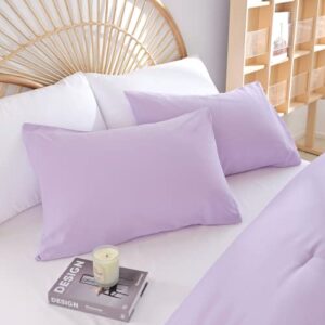 weigelia Lavender Queen Comforter Set 3PCS Purple Comforter Modern Bedding Comforter Set for All Season Soft Lightweight Microfiber Comforter Set (1 Comforter, 2 Pillowcases)