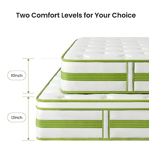 Dourxi 12 Inch Queen Mattress, Hybrid Mattress in a Box, Gel Memory Foam and Pocket Springs for Cooling Sleep & Pressure Relief, Organic Cotton Fabric Cover, Plush Feel, 80"*60"*12", Queen Size