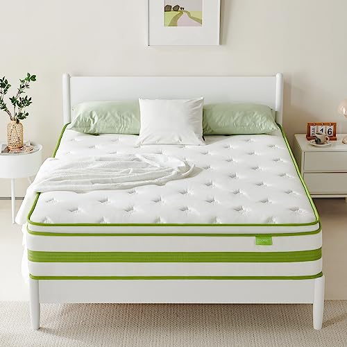 Dourxi 12 Inch Queen Mattress, Hybrid Mattress in a Box, Gel Memory Foam and Pocket Springs for Cooling Sleep & Pressure Relief, Organic Cotton Fabric Cover, Plush Feel, 80"*60"*12", Queen Size