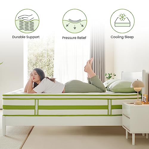 Dourxi 12 Inch Queen Mattress, Hybrid Mattress in a Box, Gel Memory Foam and Pocket Springs for Cooling Sleep & Pressure Relief, Organic Cotton Fabric Cover, Plush Feel, 80"*60"*12", Queen Size