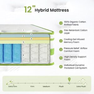 Dourxi 12 Inch Queen Mattress, Hybrid Mattress in a Box, Gel Memory Foam and Pocket Springs for Cooling Sleep & Pressure Relief, Organic Cotton Fabric Cover, Plush Feel, 80"*60"*12", Queen Size