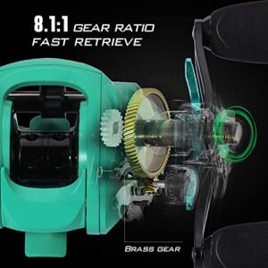 Sougayilang Baitcasting Fishing Reel with 9 + 1 Anti-Reverse Ball Bearings, 8.1:1 High-Speed Gear Ratio Casting Reel-Turquoisee-Right