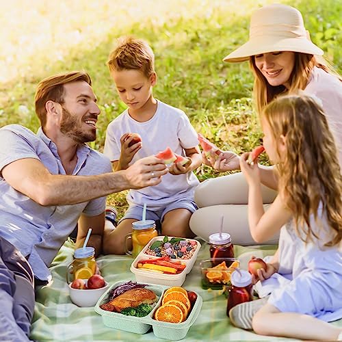 4 Pack Bento Lunch Box for Kids Adults, 2 Compartments Lunch Containers, Reusable Meal Prep Containers with Lids, Microwave & Dishwasher Safe, Divided Food Prep Containers for Travel, School ＆ Work