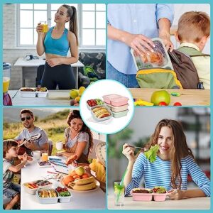 4 Pack Bento Lunch Box for Kids Adults, 2 Compartments Lunch Containers, Reusable Meal Prep Containers with Lids, Microwave & Dishwasher Safe, Divided Food Prep Containers for Travel, School ＆ Work