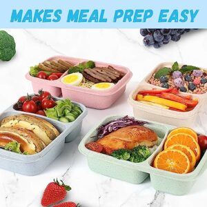 4 Pack Bento Lunch Box for Kids Adults, 2 Compartments Lunch Containers, Reusable Meal Prep Containers with Lids, Microwave & Dishwasher Safe, Divided Food Prep Containers for Travel, School ＆ Work