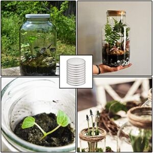 10pcs Mason Jar Sprouting Lids, Stainless Steel Screen Lids Sprouting Lids for 86mm Wide Mouth Mason Jar Seed Sprouting Jar Lids for Growing Bean Broccoli Alfalfa Seeds