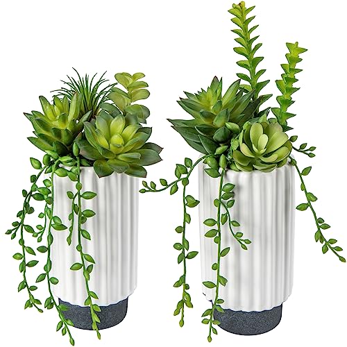 Hollyone Artificial Succulents Plants Set of 2 Faux Succulents 9" Fake Succulent Plants in Ceramic Pot Succulent Plant for Desk Modern Home Living Room Office Table Shelf Bathroom Decor