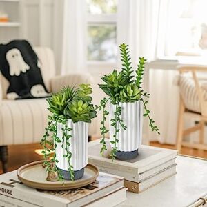 Hollyone Artificial Succulents Plants Set of 2 Faux Succulents 9" Fake Succulent Plants in Ceramic Pot Succulent Plant for Desk Modern Home Living Room Office Table Shelf Bathroom Decor