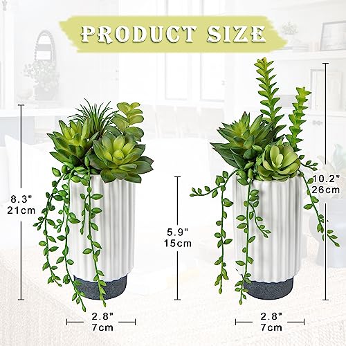 Hollyone Artificial Succulents Plants Set of 2 Faux Succulents 9" Fake Succulent Plants in Ceramic Pot Succulent Plant for Desk Modern Home Living Room Office Table Shelf Bathroom Decor