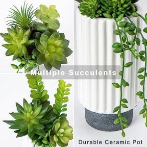 Hollyone Artificial Succulents Plants Set of 2 Faux Succulents 9" Fake Succulent Plants in Ceramic Pot Succulent Plant for Desk Modern Home Living Room Office Table Shelf Bathroom Decor