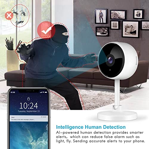 Indoor Camera, Cameras for Home Security with Night Vision, Pet Camera with Phone App, 1080P Indoor Security Camera, Motion Detection, 2-Way Audio, WiFi Camera Home Camera Compatible with Alexa