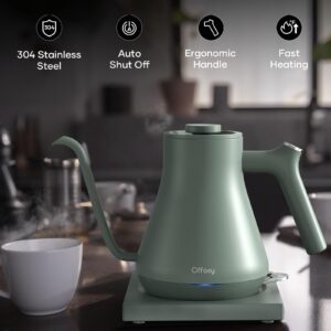 Electric Kettle, Offacy Gooseneck Kettle with 6.8mm Fine V-Shaped Spout, Auto Shut-Off & Boil Dry Protection, BPA Free, 1200 Watt Quick Heating, 0.9L, Light Green