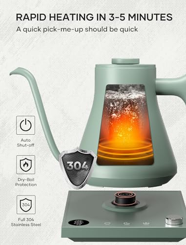 Electric Kettle, Offacy Gooseneck Kettle with Temperature Control, Pour Over Kettle & Coffee Kettle, 100% Food Grade 304 Stainless Steel, Tea Kettle 1200 Watt Quick Heating, 0.9L, Light Green