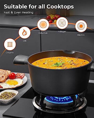 Nonstick Pot with Lid, Induction Cooking Pot, Stock Pot, Soup Pot with Anti-Scald Handle, 9.5inch/4.8QT, Easy Cleanup