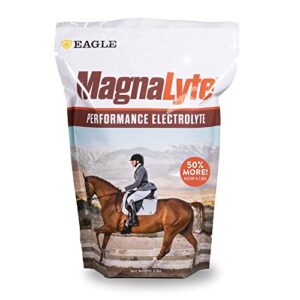 magnalyte loose salt and electrolytes for horses by eagle equine | mineral sea salt, trace minerals, electrolytes | 6 lb bag