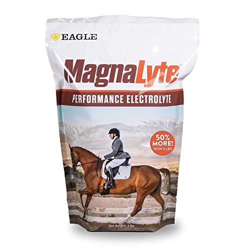 MagnaLyte Loose Salt and Electrolytes for Horses by Eagle Equine | Mineral sea Salt, Trace Minerals, Electrolytes | 6 lb Bag