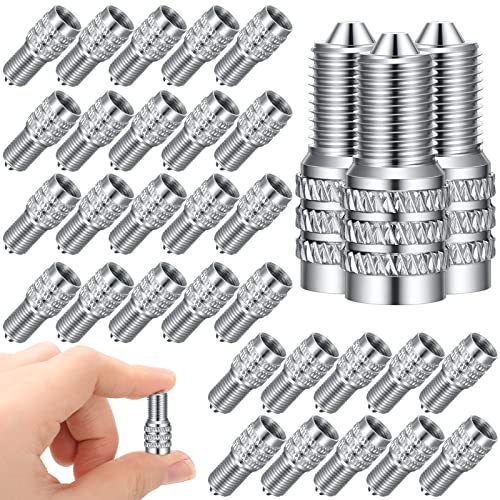 BBTO 32 Pcs Double Seal Valve Stem Cap Inflate Tire Valve Caps Flow Through Tires Air Cap Metal Valve Cap for High Pressure Truck Car RV Semi Bus Tires for Van Trailers Semi Trailer Boats