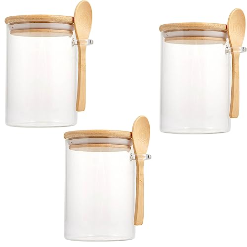 CAMOFOXIN 3 Pack Airtight Overnight Oats Jars, 17oz Glass Jars with Bamboo Lid and Spoon, Sugar Jar Glass Salt Container for Coffee Bean, Spice