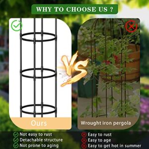 Garden Trellis for Climbing Plants Rustproof Coated Metal 6ft Tall Plant Support Trellis for Indoor & Outdoor Plants, Climbing Plant, Tomatoes, Vegetables, Fruits, Flowers, Pots, Vines