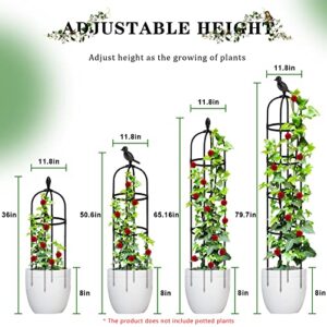 Garden Trellis for Climbing Plants Rustproof Coated Metal 6ft Tall Plant Support Trellis for Indoor & Outdoor Plants, Climbing Plant, Tomatoes, Vegetables, Fruits, Flowers, Pots, Vines