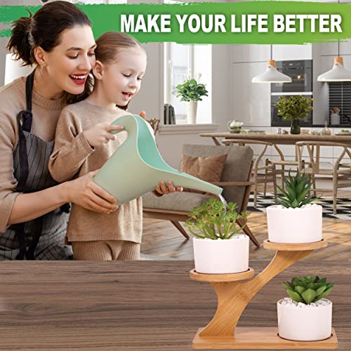 FAHAWEL Tabletop Bamboo Succulent Plant Stand Indoors Desktop Window Sill Plant Shelf 2 Packs, Small Mini Cute 3 Tier Plant Holder for Indoor Plants Table Top Desk Tiered Planter Flower Pot Holder