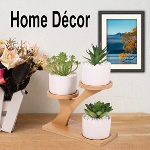 FAHAWEL Tabletop Bamboo Succulent Plant Stand Indoors Desktop Window Sill Plant Shelf 2 Packs, Small Mini Cute 3 Tier Plant Holder for Indoor Plants Table Top Desk Tiered Planter Flower Pot Holder