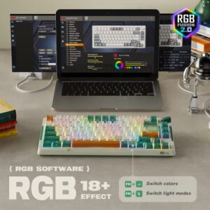 RK ROYAL KLUDGE H81 Wireless Mechanical Keyboard, 75% Knob Control Triple Mode BT5.1/2.4Ghz/USB-C Gaming Keyboard Gasket Mount with RGB Backlit 3750mAH Battery Hot Swappable Speed Silver Switches