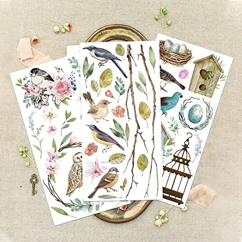 GLOBLELAND 3 Sheets Spring Bird Transfer Stickers Birdcage Rub on Decor Transfers Sticker Decals for Cabinet Wood Door DIY Craft