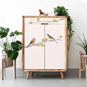 GLOBLELAND 3 Sheets Spring Bird Transfer Stickers Birdcage Rub on Decor Transfers Sticker Decals for Cabinet Wood Door DIY Craft