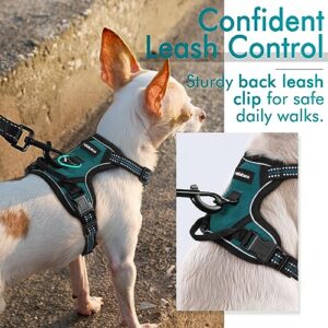 rabbitgoo Dog Harness, No-Pull Pet Harness with 2 Leash Clips, Adjustable Soft Padded Dog Vest, Reflective No-Choke Pet Oxford Vest with Easy Control Handle for Small Dogs, Blue Coral, XS