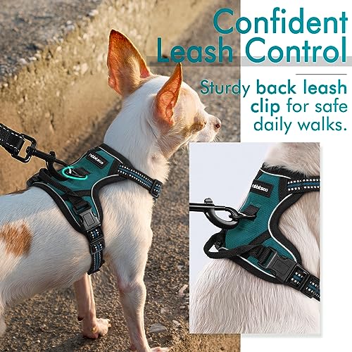 rabbitgoo Dog Harness, No-Pull Pet Harness with 2 Leash Clips, Adjustable Soft Padded Dog Vest, Reflective No-Choke Pet Oxford Vest with Easy Control Handle for Small Dogs, Blue Coral, XS