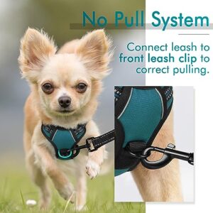 rabbitgoo Dog Harness, No-Pull Pet Harness with 2 Leash Clips, Adjustable Soft Padded Dog Vest, Reflective No-Choke Pet Oxford Vest with Easy Control Handle for Small Dogs, Blue Coral, XS