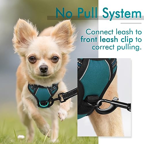 rabbitgoo Dog Harness, No-Pull Pet Harness with 2 Leash Clips, Adjustable Soft Padded Dog Vest, Reflective No-Choke Pet Oxford Vest with Easy Control Handle for Small Dogs, Blue Coral, XS