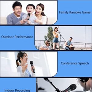 Lococo Wireless Microphone,UHF Metal Rechargeable Handheld Dynamic Mic with USB Receiver Mute Function for Karaoke Party,Computer,Mobile Phone,Amplifier,PA System,Singing Machine