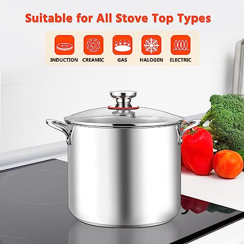 12-Quart Stock Pot, E-far 18/10 Stainless Steel Stockpot with Lid for Cooking Simmering Soup Stew, Heavy Duty Cookware Works w/Induction, Non-toxic & Corrosion Resistant, Dishwasher Safe