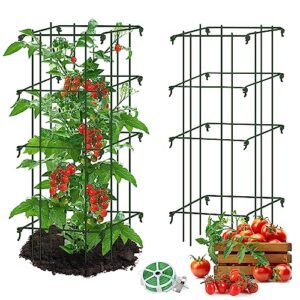 square tomato cages for garden,migtory 39 inches 2 packs square tomato cages trellis,heavy duty steel garden plant support stakes with 164 feet twist tie for climbing vegetables flowers fruits plants