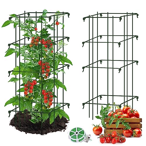 Square Tomato Cages for Garden,Migtory 39 Inches 2 Packs Square Tomato Cages Trellis,Heavy Duty Steel Garden Plant Support Stakes with 164 Feet Twist Tie for Climbing Vegetables Flowers Fruits Plants