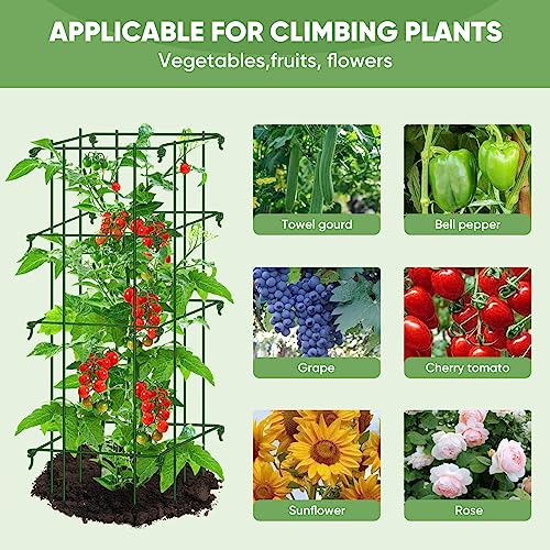 Square Tomato Cages for Garden,Migtory 39 Inches 2 Packs Square Tomato Cages Trellis,Heavy Duty Steel Garden Plant Support Stakes with 164 Feet Twist Tie for Climbing Vegetables Flowers Fruits Plants