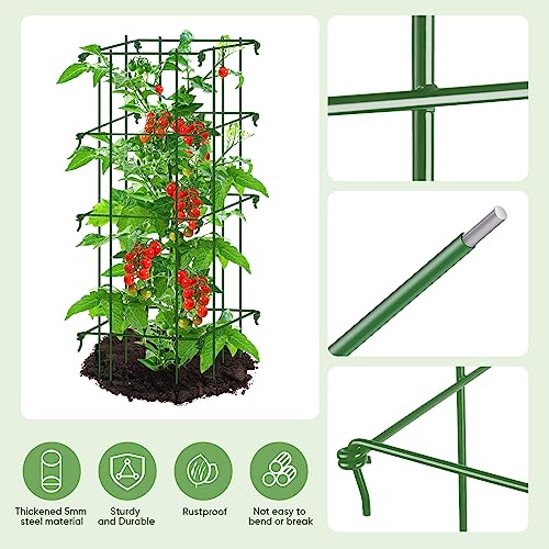 Square Tomato Cages for Garden,Migtory 39 Inches 2 Packs Square Tomato Cages Trellis,Heavy Duty Steel Garden Plant Support Stakes with 164 Feet Twist Tie for Climbing Vegetables Flowers Fruits Plants